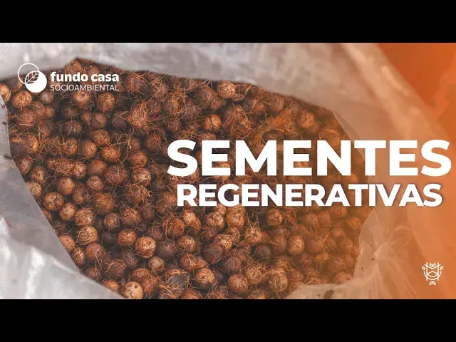 Projeto Sementes Regenerativas